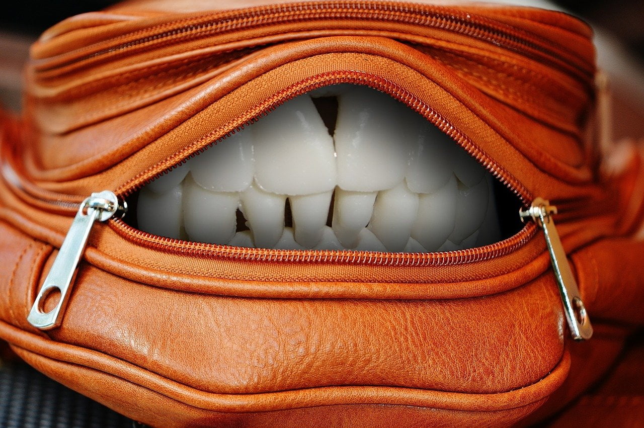 purse-1558855_1280
